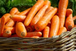 carrots-foods-that-benefit-your-dog