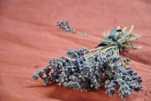 lavender