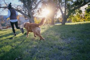 keep-teaching-sessions-short