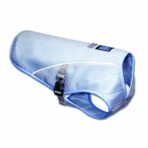 cooling-vest