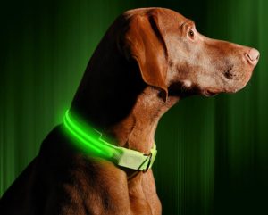 lightupcollars