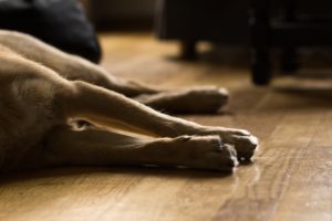reduce-pain-joint-and-other-injuries