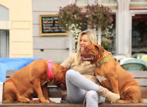 two-dogs-are-better-than-one-more-love-for-you